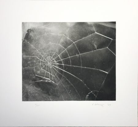 Serigrafia Celmins - Spider Web