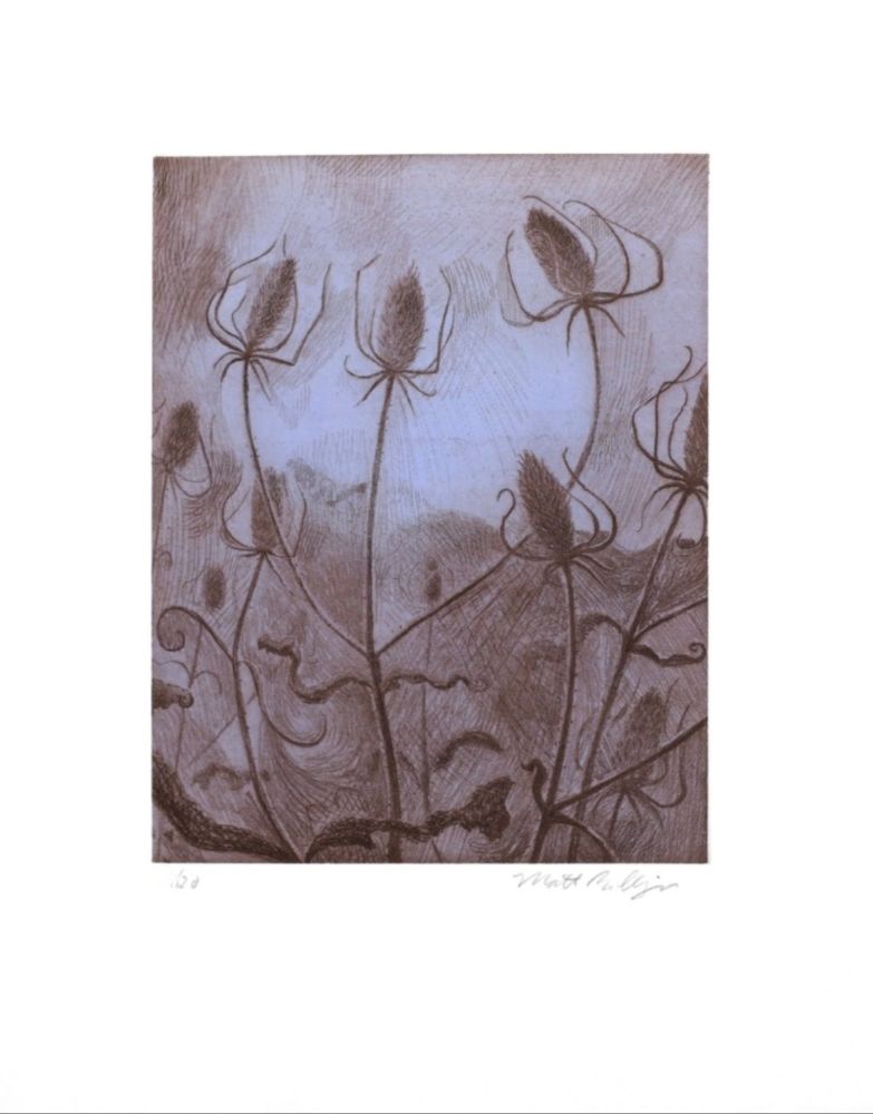 Incisione Bollinger - Spider's Teasel