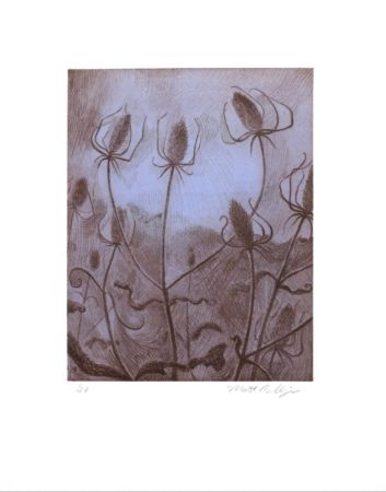 Incisione Bollinger - Spider's Teasel