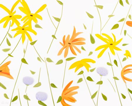 Non Tecnico Katz - Summer Flowers 2