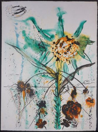 Litografia Dali - Sun Goddess Flower