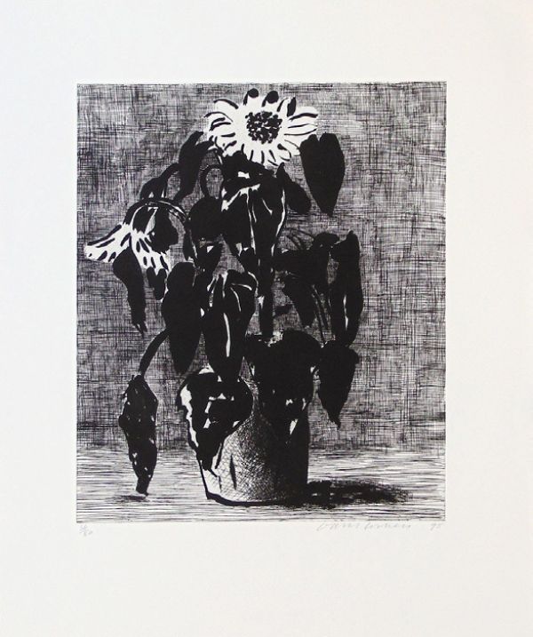 Acquaforte E Acquatinta Hockney - Sunflowers I