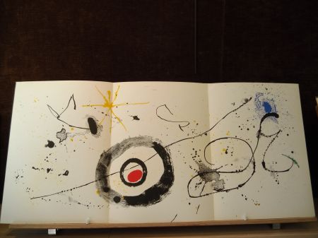 Libro Illustrato Miró - Terres de grand feu