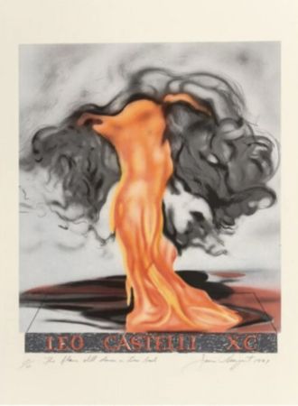 Litografia Rosenquist - The flame still dances on Leos book