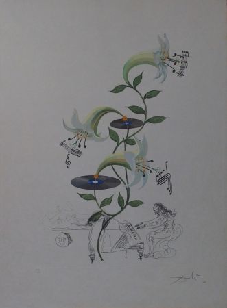 Incisione Dali - The Lily - Lilium Musicum