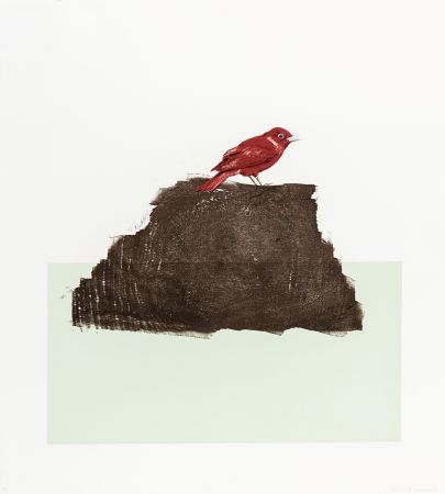Incisione Su Legno Drummond - The Northern Cardinal (or Redbird)