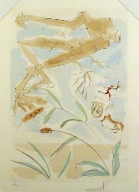 Non Tecnico Dali - The Oak and the Reed - from the suite 