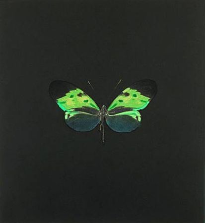 Acquaforte Hirst - The Souls on Jacob's Ladder Take Their Flight (Small Green)