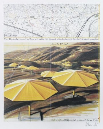 Multiplo Christo - The Umbrellas