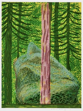 Non Tecnico Hockney - The Yosemite Suite No. 19 is a iPad drawing printed in colour by David Hockney