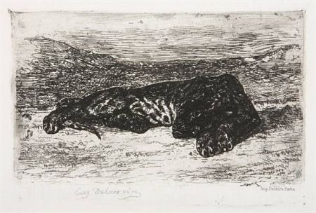 Incisione Delacroix - Tigre couché dans le désert