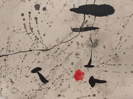 Libro Illustrato Miró - Trace Sur l'eau