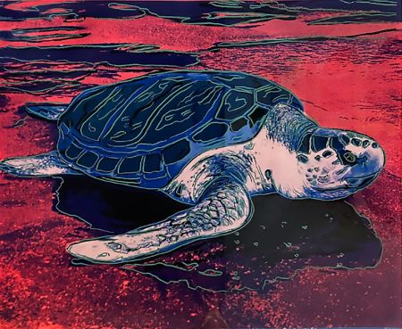 Serigrafia Warhol (After) - Turtle