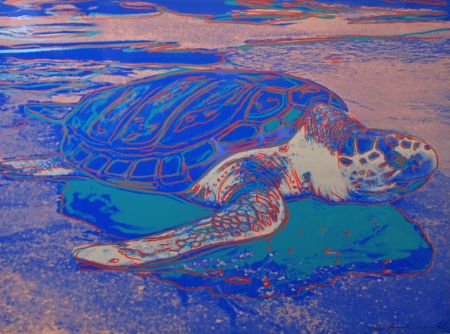 Serigrafia Warhol - Turtle 