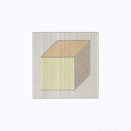 Serigrafia Lewitt - Twelve Forms Derived From a Cube 01