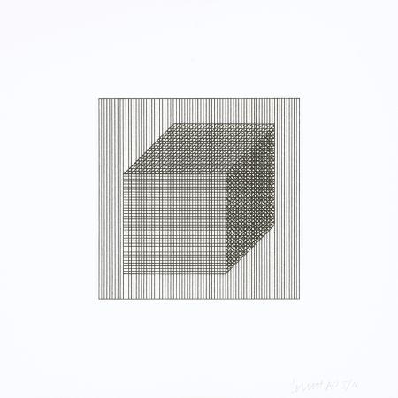 Serigrafia Lewitt - Twelve Forms Derived From a Cube 02