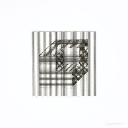 Serigrafia Lewitt - Twelve Forms Derived From a Cube 16