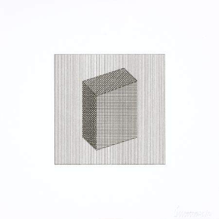 Serigrafia Lewitt - Twelve Forms Derived From a Cube 18