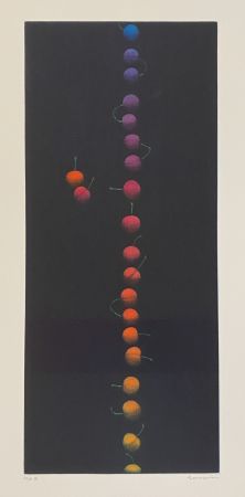 Maniera Nera Hamaguchi - Twenty-Two Cherries (multicolor)