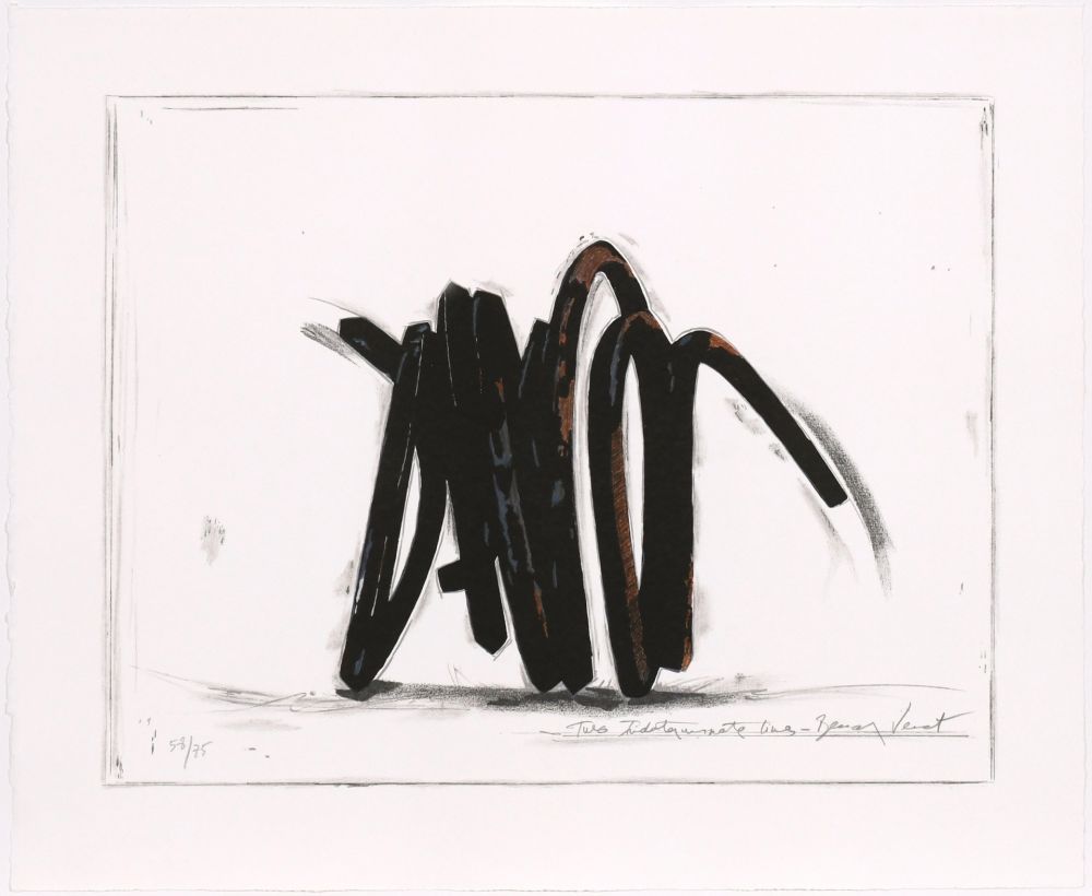 Serigrafia Venet - Two indeterminate lines