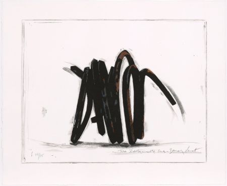 Serigrafia Venet - Two indeterminate lines
