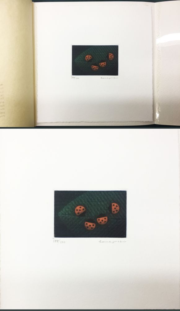 Maniera Nera Hamaguchi - Two Pairs (Ladybirds). signed. with the original book (1976)