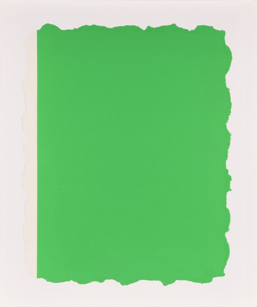 Acquatinta Flavin - Untitled, from Sequences - Green