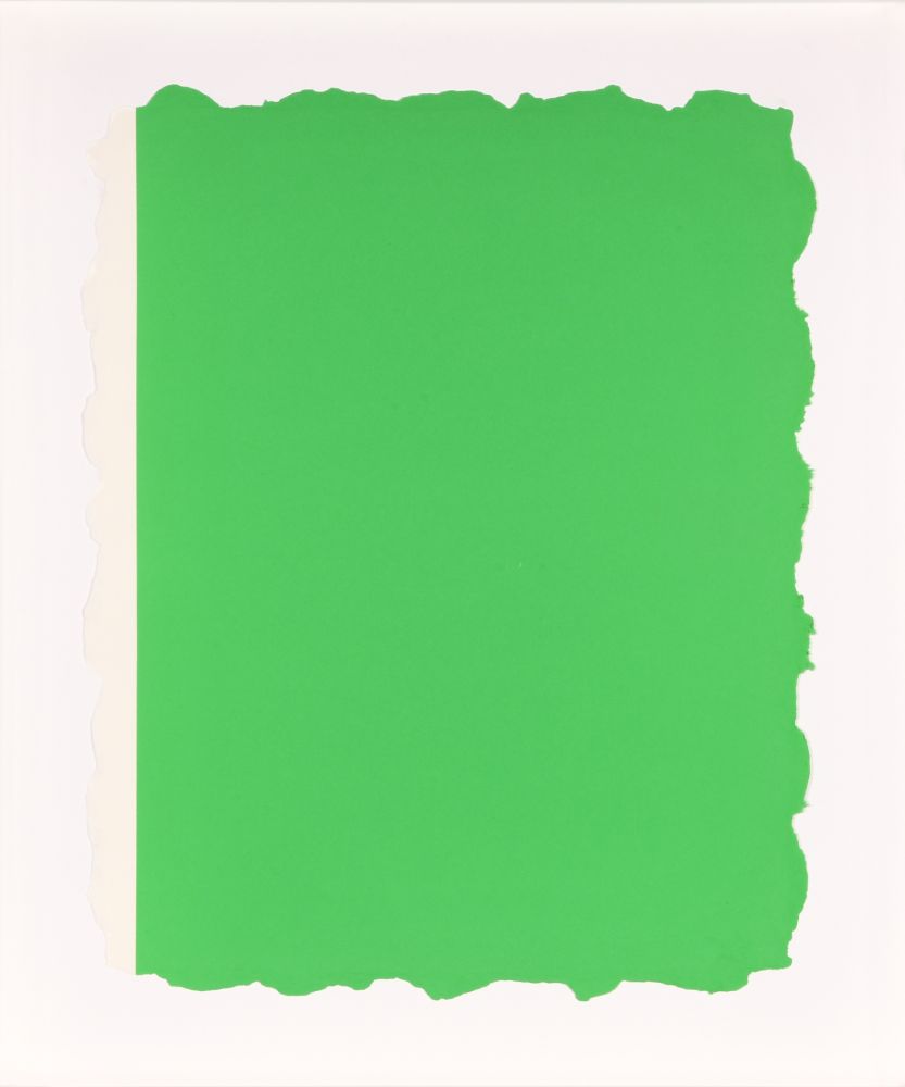 Acquatinta Flavin - Untitled, from Sequences - Green