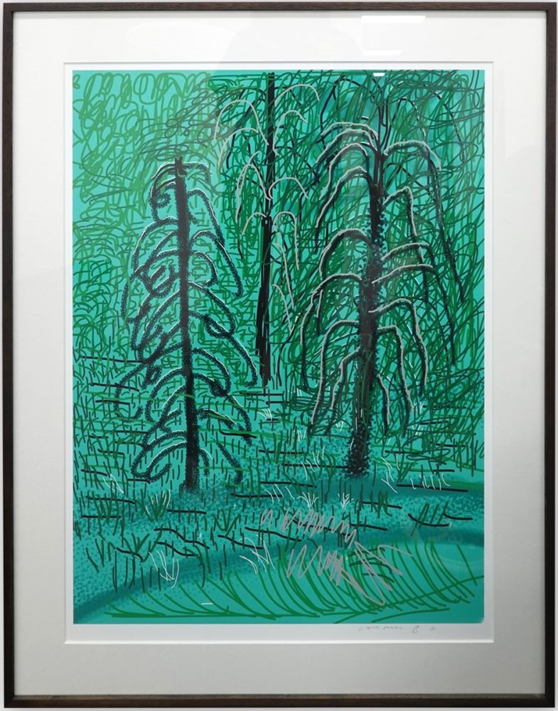 Non Tecnico Hockney - Untitled No.16 from The Yosemite Suite