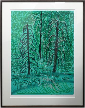 Non Tecnico Hockney - Untitled No.16 from The Yosemite Suite