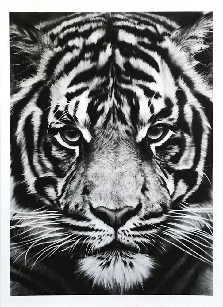Non Tecnico Longo - Untitled (Tiger)