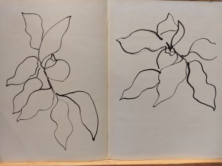 Libro Illustrato Matisse - Vence
