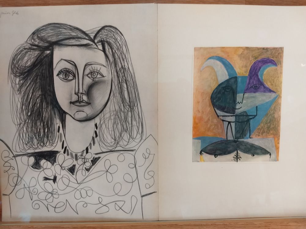 Libro Illustrato Picasso - Verve 19 20