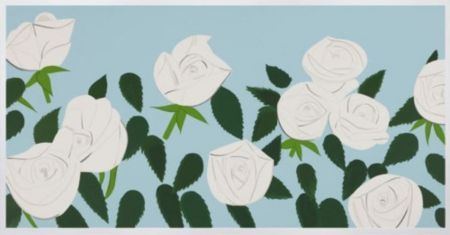 Multiplo Katz - White Roses