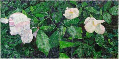 Multiplo Bartlett - White Roses