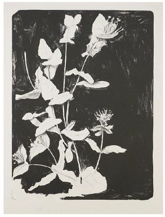 Litografia Dine - Wildflowers in New York II