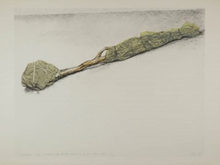 Serigrafia Christo - Wrapped Tree