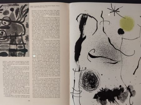 Libro Illustrato Miró - XXE No 24